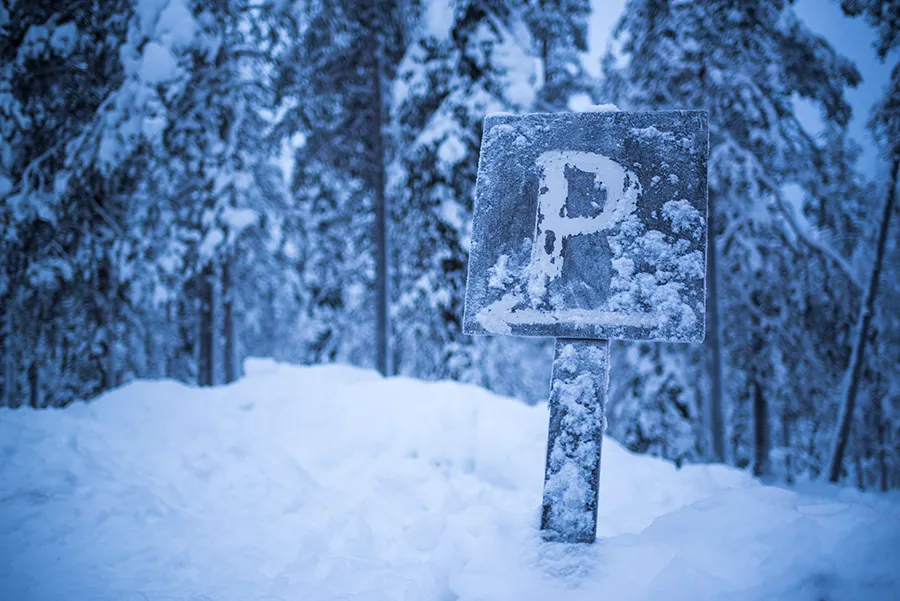 Winter Trail Marker