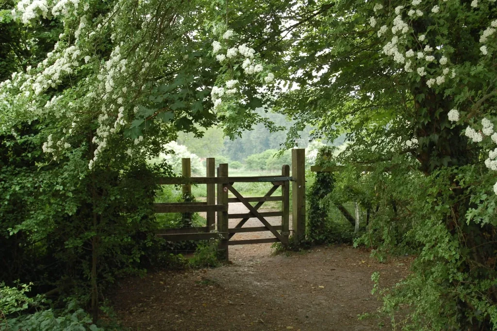 Gate on a wooded road