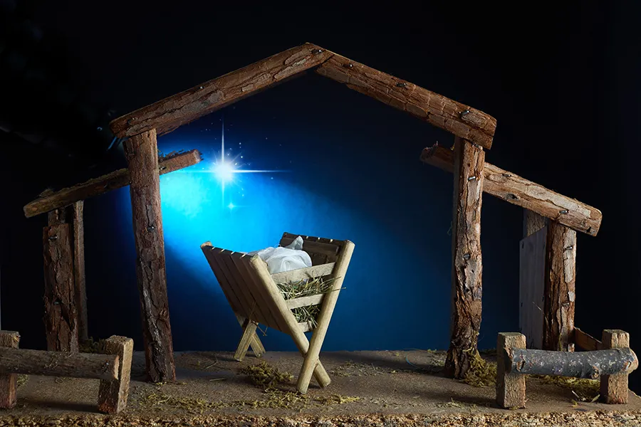 Rustic manger and star