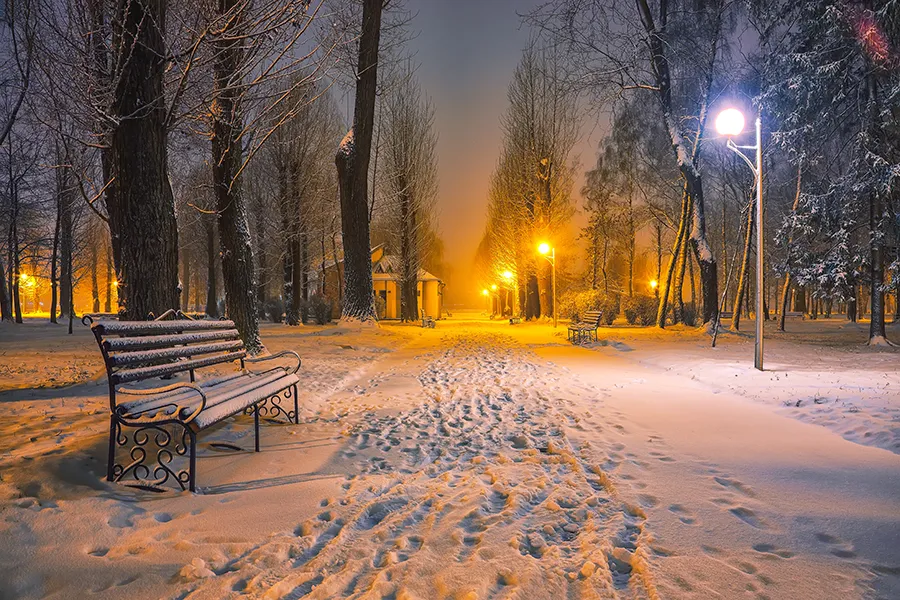 Snowy Park bench